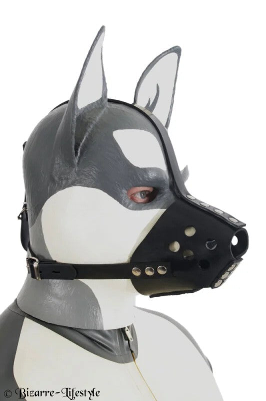MuzzleforsmalldogsnoutsLblacklockablewith2lockschromed