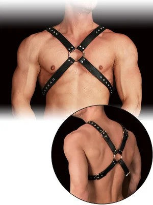 OUCH!HarnessAdonis–Schwarz