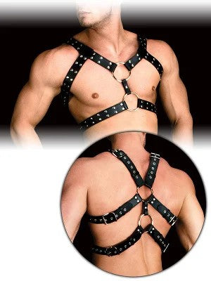 OUCH!HarnessAndres–Schwarz