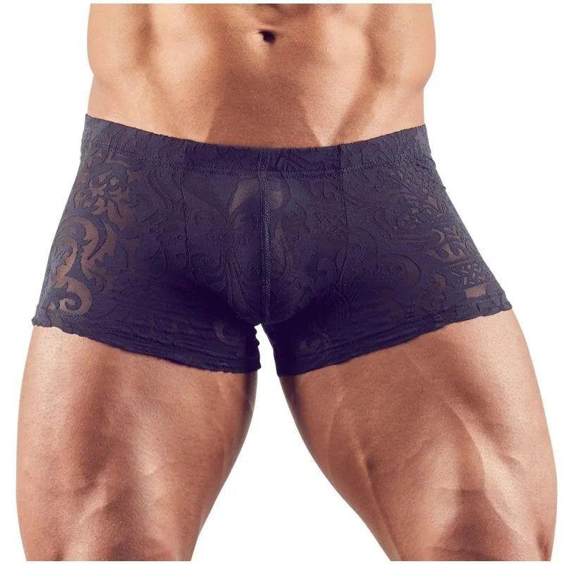 PantsinAusbrenner-Optik