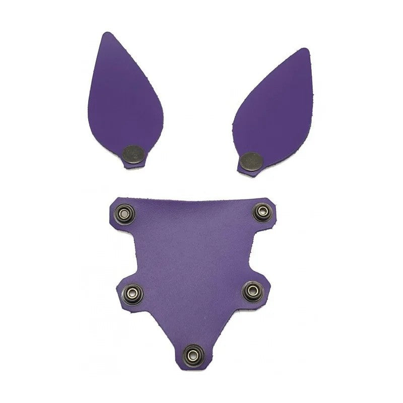 PuppySetPurpleLeatherEarsAndTongue