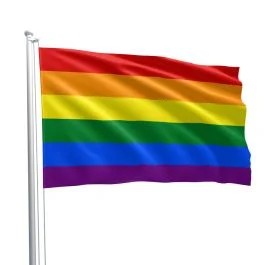 RainbowPrideFlagge90x150cm
