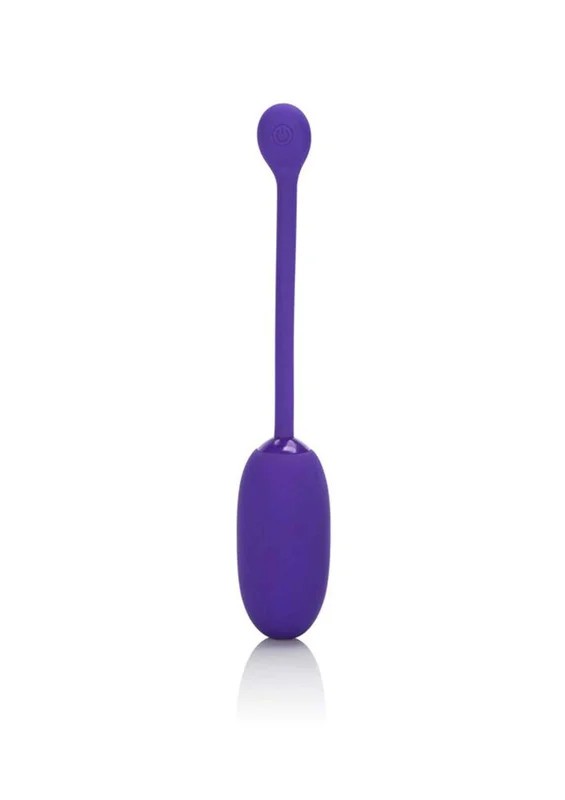 Recharg.KegelBallStarterPurple