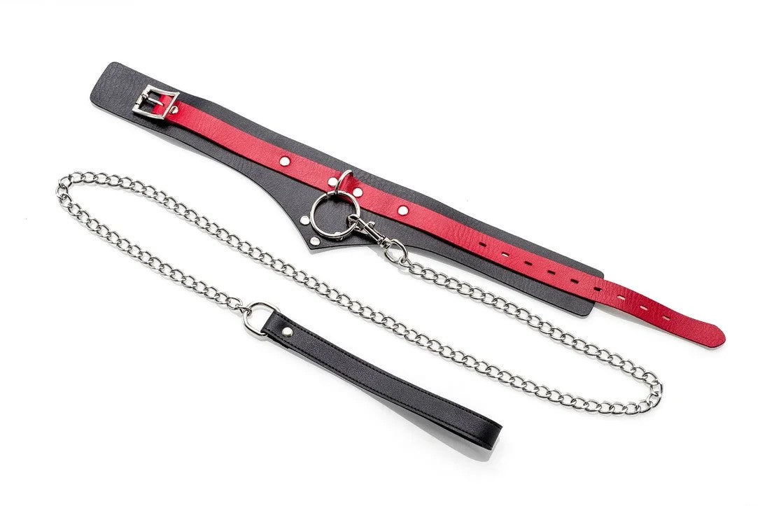 RedCollarandLeash