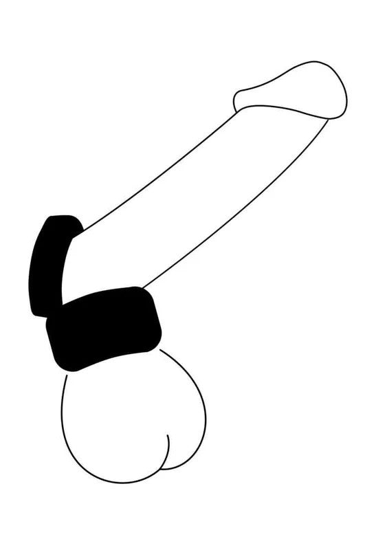 SilaskinCock&BallTransparent