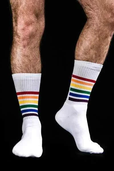Sk8erboyPRIDESocks