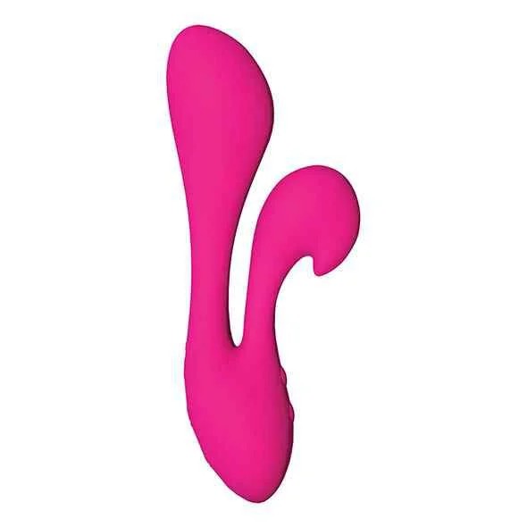 SwanTheSilhouetteSwanPink