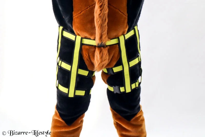 ThighHarnesswithBelt“Derl”40mmwide,two-coloured