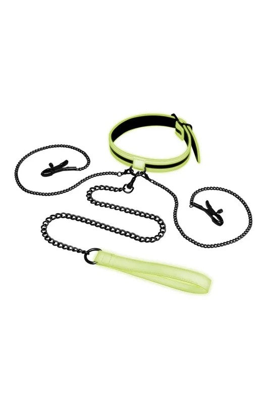 Whipsmartcollarwithnippleclipsandleash