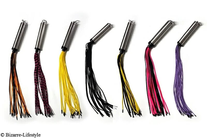 Whipwithastainlesssteelhandlediffrentcolors